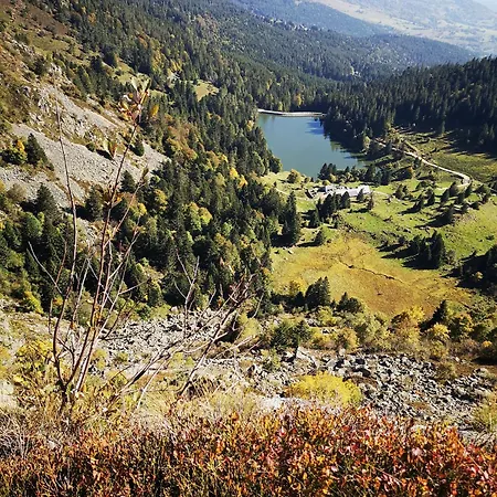 Chene Rouge Lapoutroie