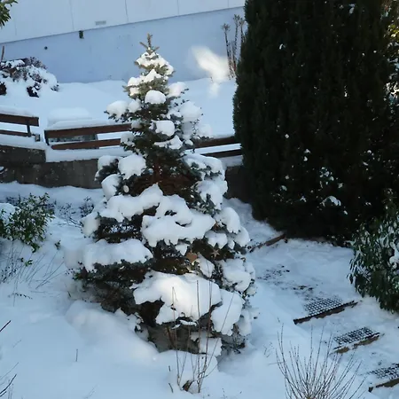 Chene Rouge Lapoutroie