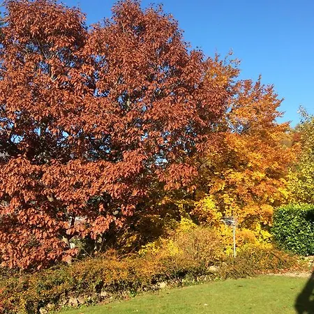 Casa vacanze Chene Rouge