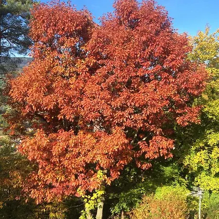 Casa vacanze Chene Rouge