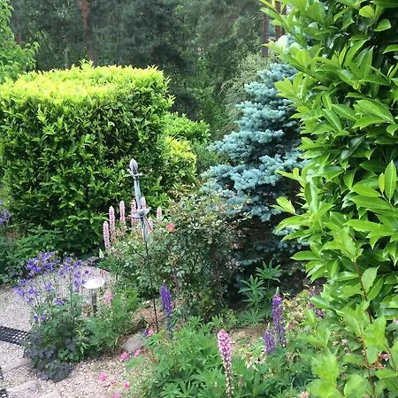 Chene Rouge * Lapoutroie