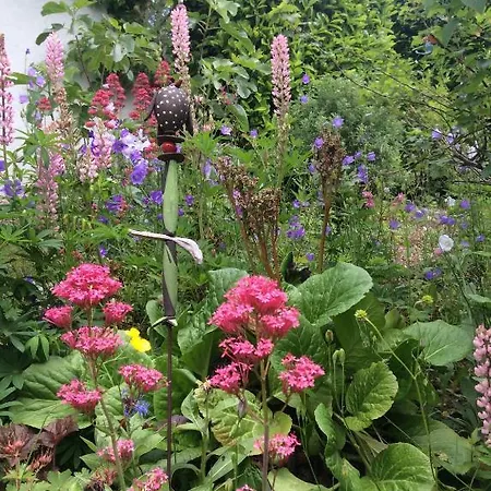 Chene Rouge * Lapoutroie